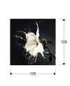 FOTO ·SPLASH· 100x100